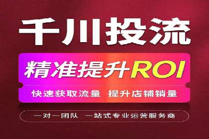 案例教学：轻松掌握竞价推广方法